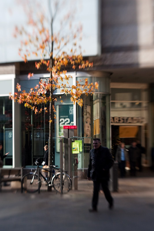 A tree grows near Karstadt