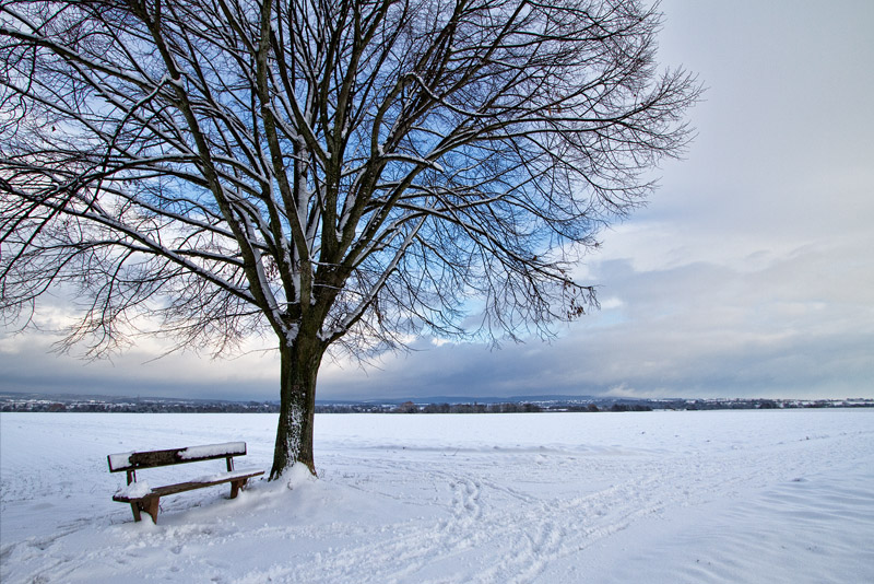 Winter sky