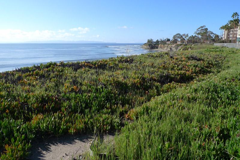 UCSB