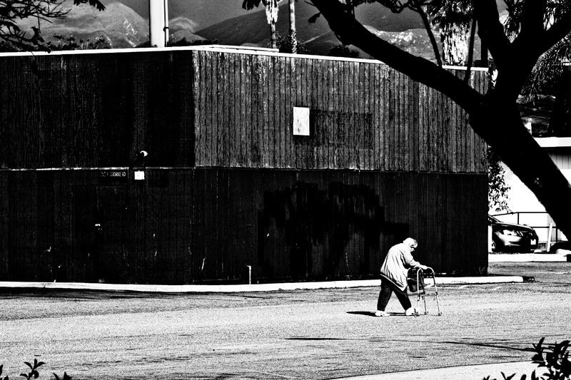 Shopper in lot