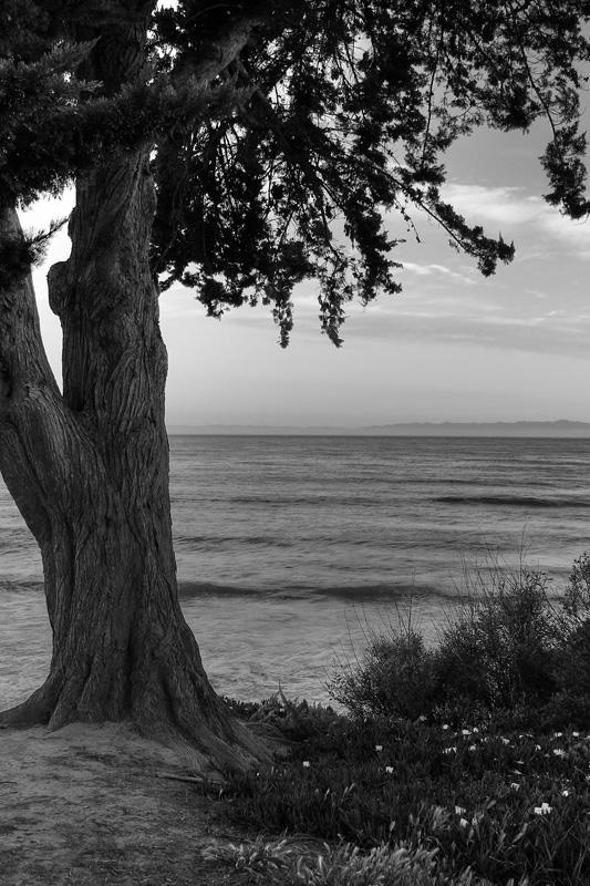 Shoreline Park 787