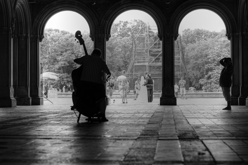 Central Park musician