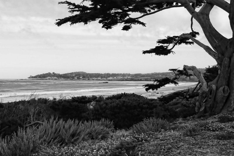 Beach in Carmel