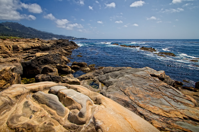 Point Lobos 