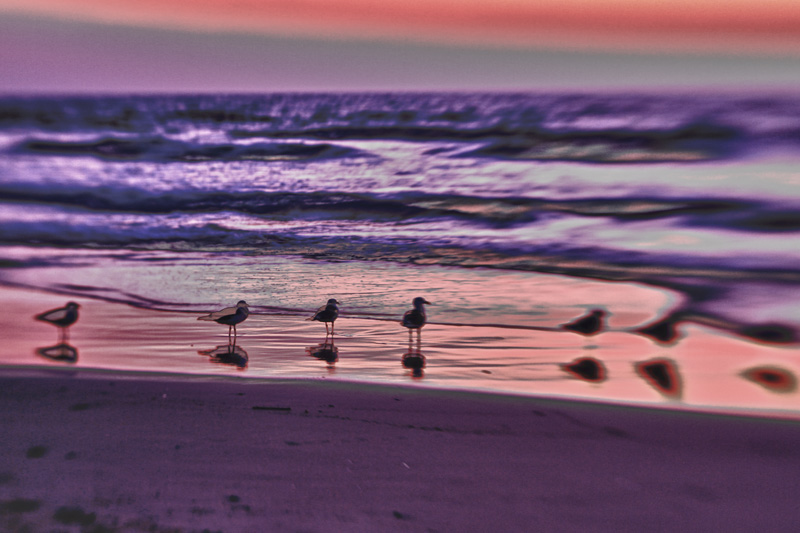 LB HDR 2