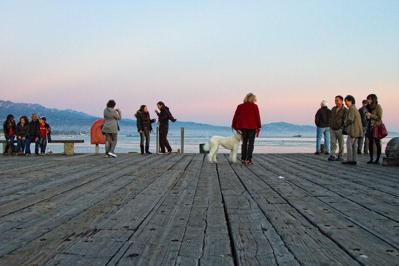 Wharf visitors