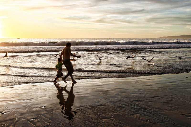 Chasing seagulls