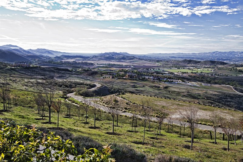 Reagan Library View