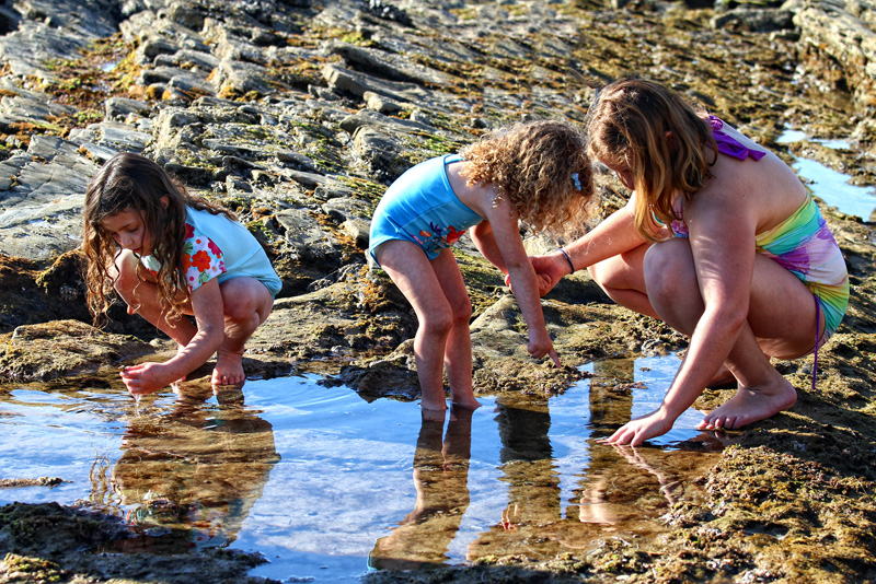 Tidepool