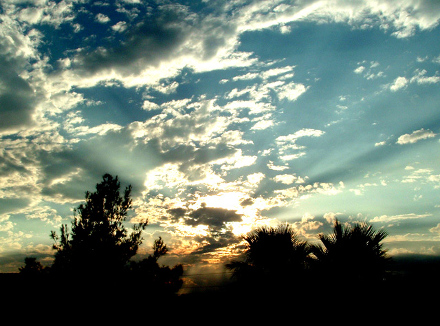 First Cloudburst of a Palm Springs Winter
