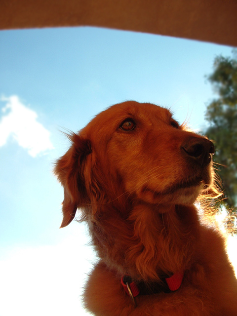 Katie 2004