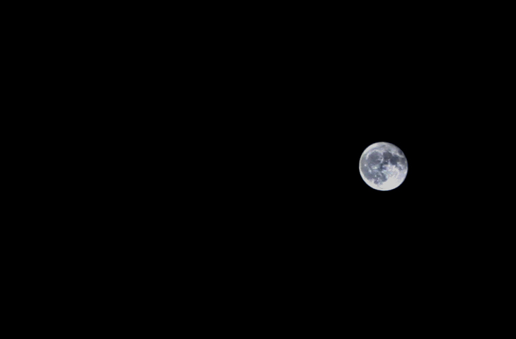 Dark Moon