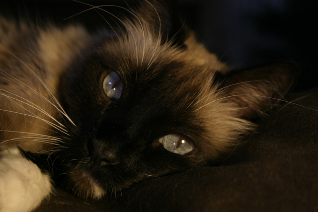 IMG_4048_small_nomods.jpg