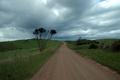 The Road To Nowhere - Waiheke Island - New Zealand