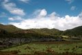 Great Barrier Island 4