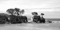 Great Barrier Island