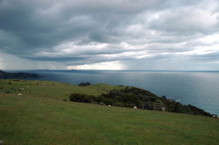 View From Waiheke Island - New Zealand