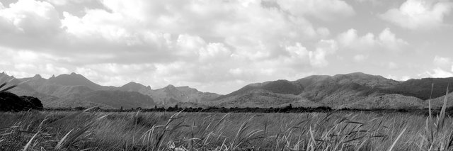 Great Barrier Island 3