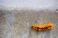 Slow mover on step