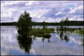 Dalarna.jpg
