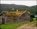 This old house