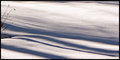 Snowscape