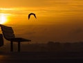Into the sun