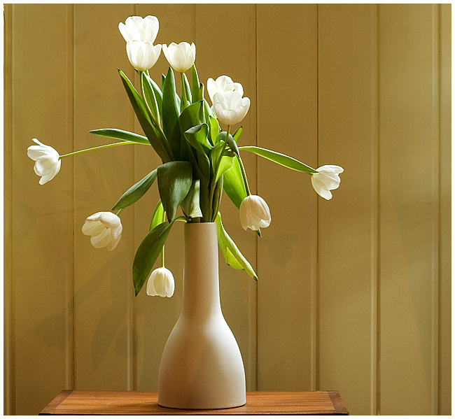 tulips1001.jpg