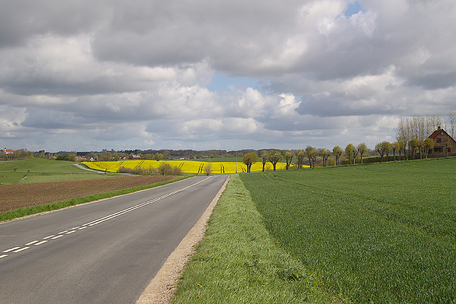 Country