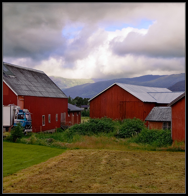 Farm