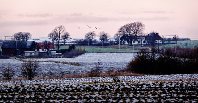 First dusting at dusk