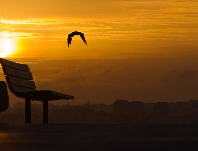Into the sun