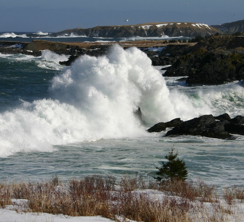 power in the sea
