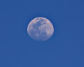 daytime-moon-shot.jpg