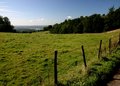 Fenced In