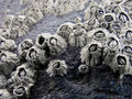 Moonscape