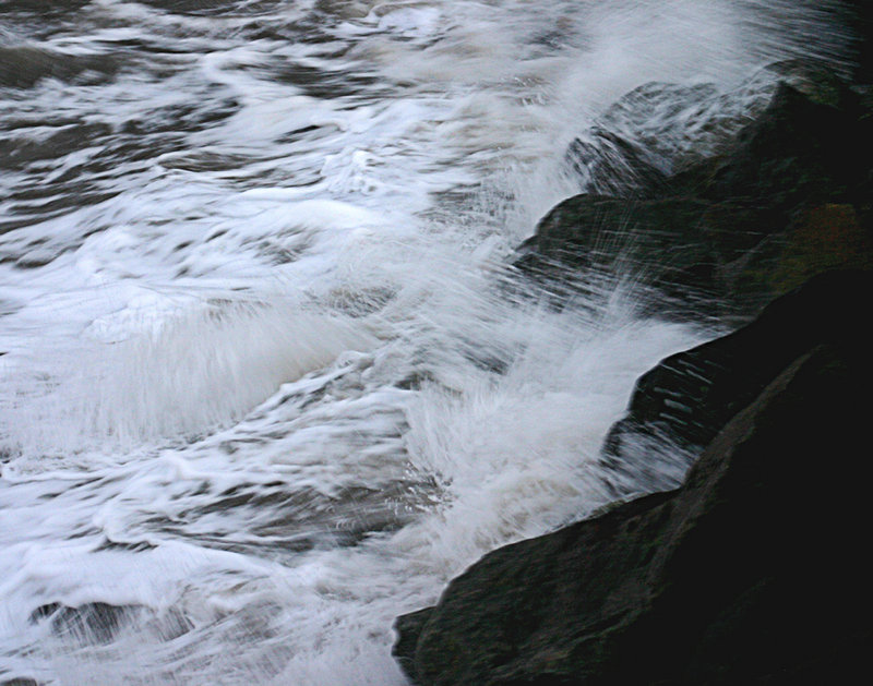 IMG_5706b.jpg