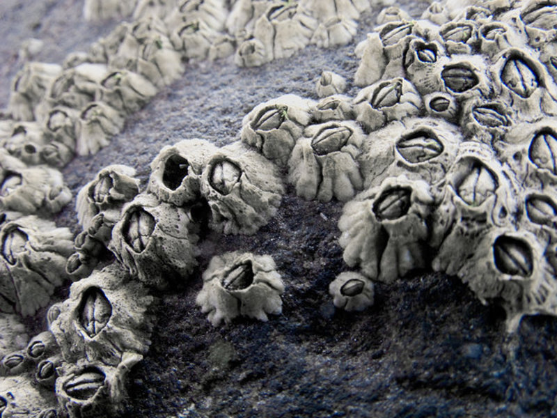 Moonscape