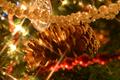 Pine Cone with Cross Filter