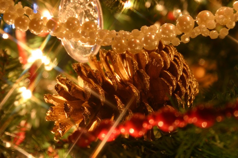 Pine Cone with Cross Filter
