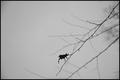 Alone B&W
