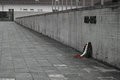 DSC_0233.jpg