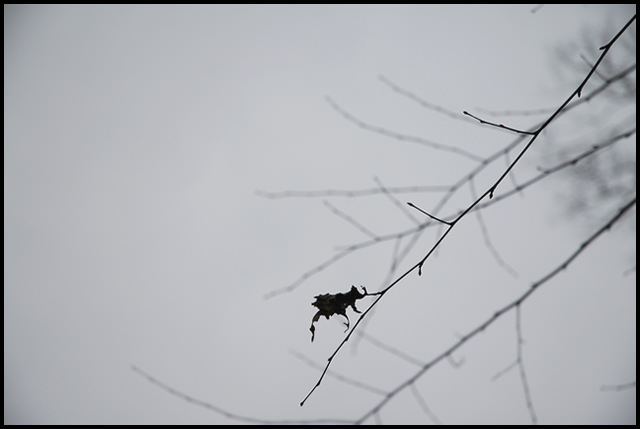 Alone