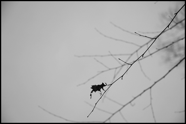 Alone B&W