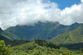 Kauai Beauty