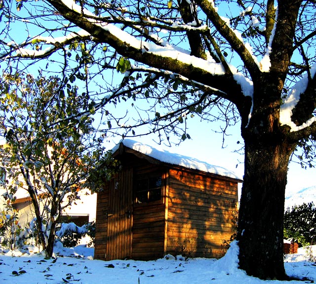 Snow