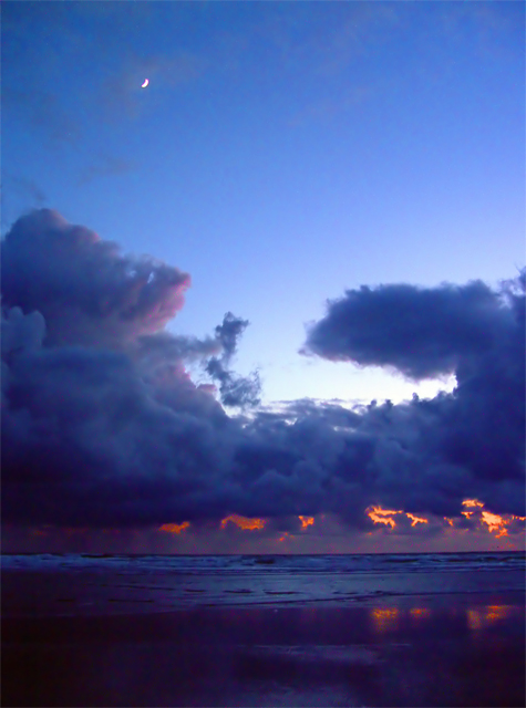 DSC00028_filtered.jpg