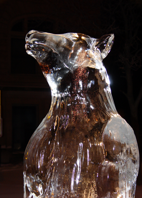 Polar Bear