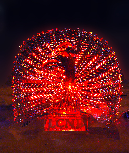 Peacock.jpg
