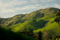 Calif hills